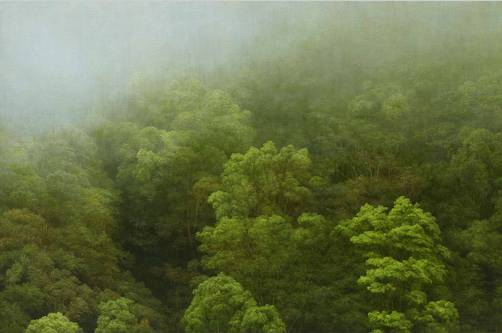 葉子奇2017個展『返鄉之歌－給花蓮』