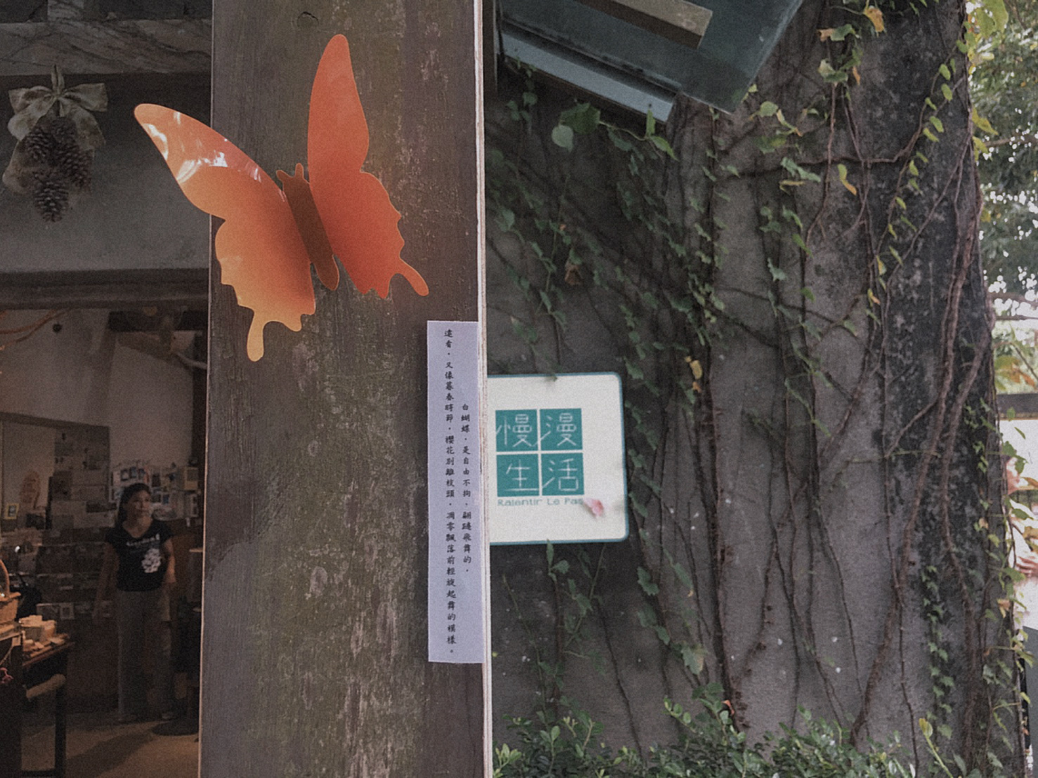 【松園傳奇：聽說松園白蝴蝶回來過】